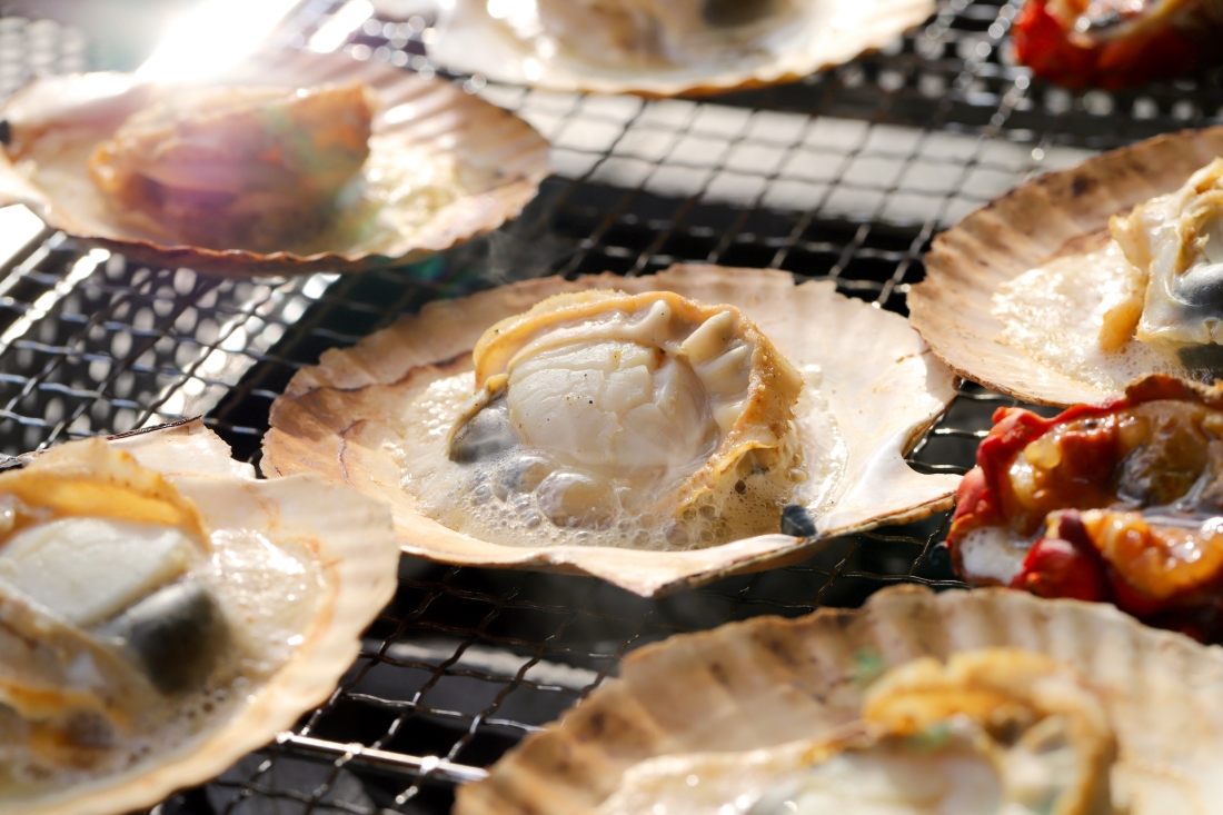 若狭フィッシャーマンズ・ワーフ