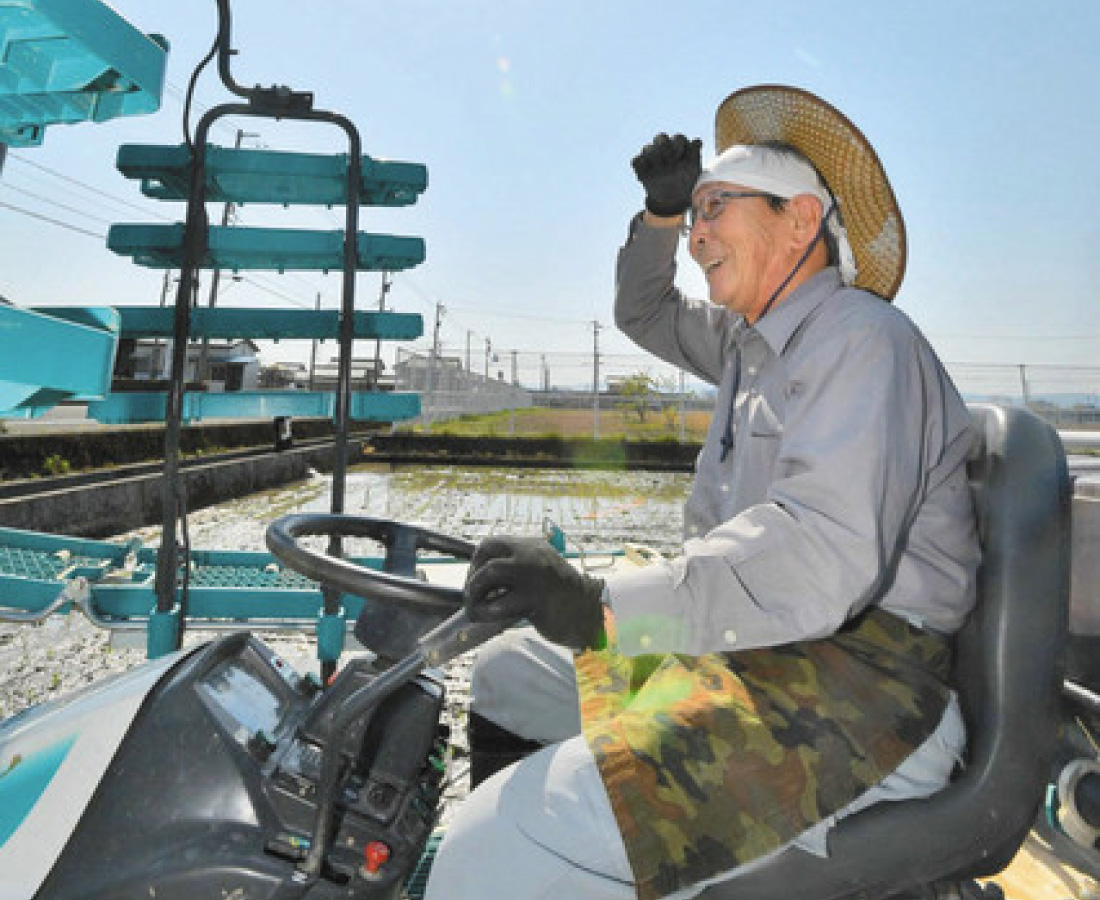 県内今年初　夏日に負けず田植え
