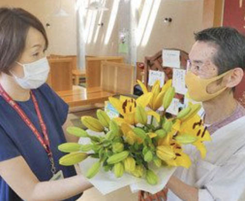ユリで飲食店に癒やし　テークアウト協力　坂井市が配布