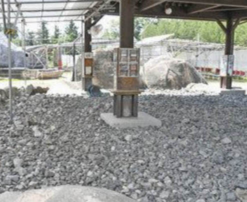 　恐竜博物館１５日に再開　　化石発掘など３施設も