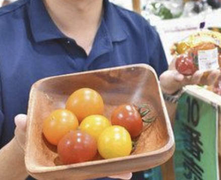 「越の宝石（じゅえりー）」が店頭に　新品種のミディトマト　福井で試験販売開始