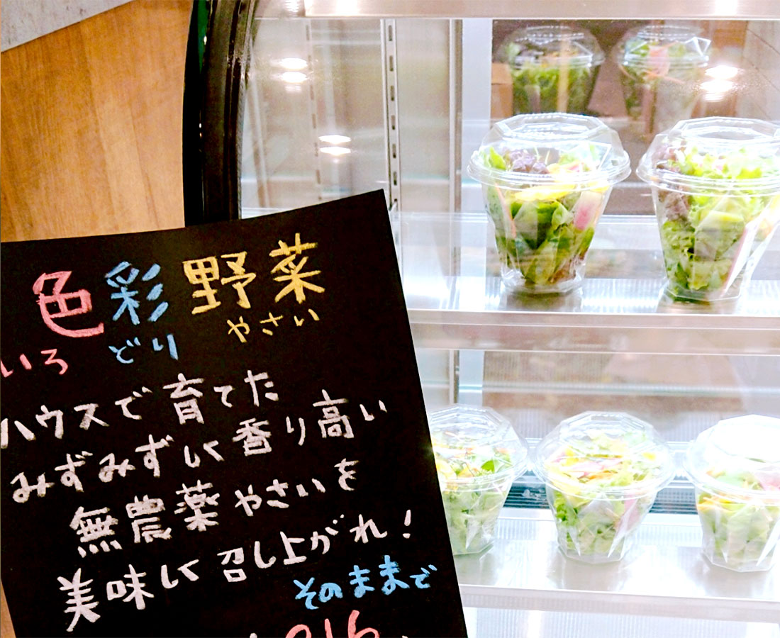 Veg.terrace(ベジテラス)自家栽培サラダ販売始めました！｜福井市河増町