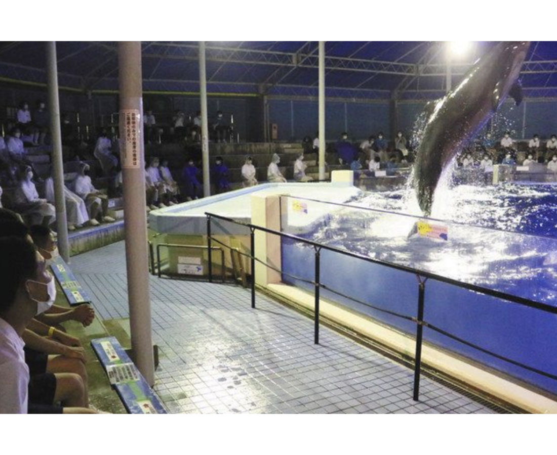 夜もイイネ、越前松島水族館　貸し切りプランが修学旅行に人気
