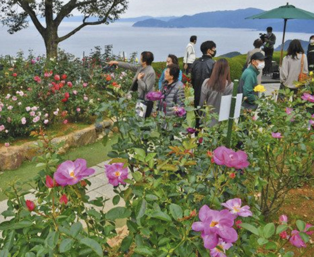 “バラ色”の山頂公園　レインボーライン
