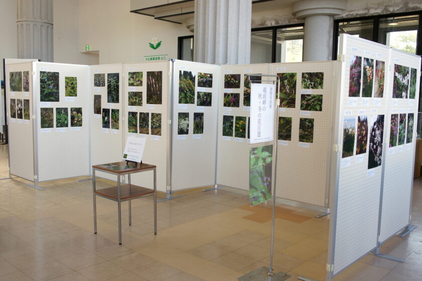 植物写真展「越前岬の秋・冬の花百選」