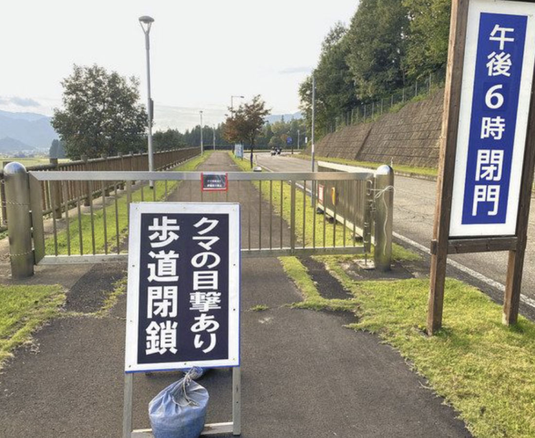 住宅敷地にクマ男性けが　勝山　目撃も相次ぐ