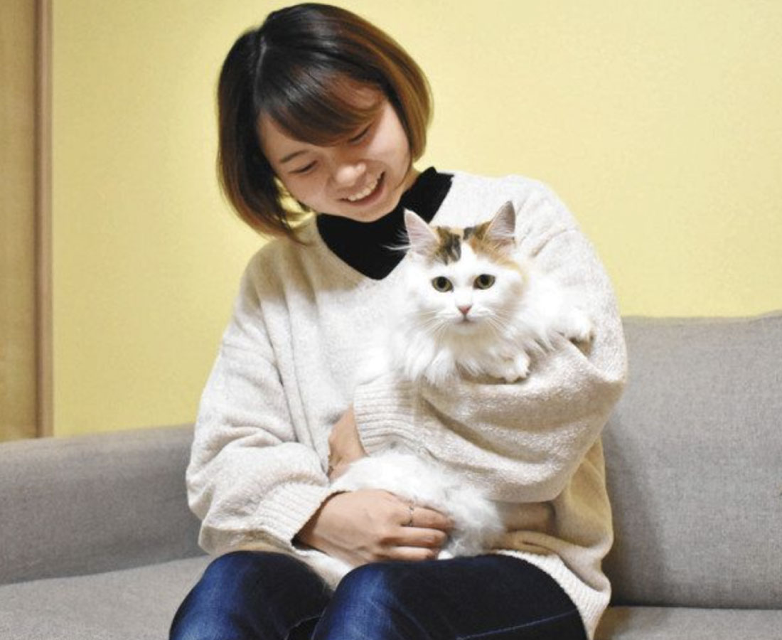 致死率高い猫伝染性腹膜炎　福井の坂井さんが支援金呼び掛け