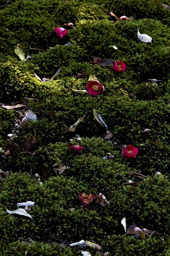 PHOTO CLUB「宙」展 ―課題作品「ひかり」&自由作品―