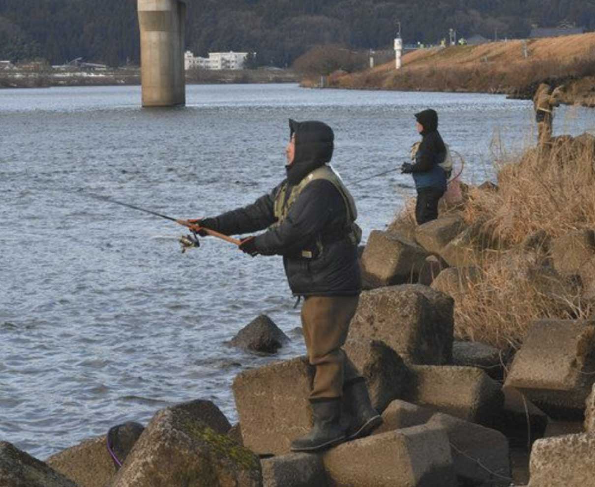九頭竜川の一部でサクラマス解禁　福井