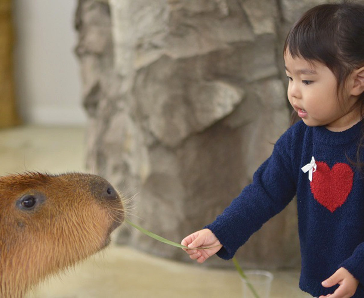 【3/27～】無料シャトルバスに乗って足羽山公園遊園地に行こう！ うれしい乗車特典も。