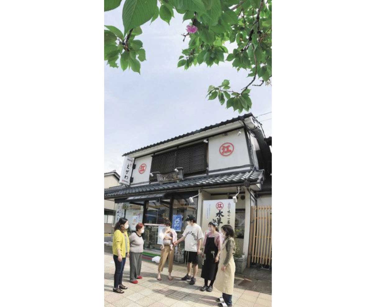 青葉に一輪　八重桜　福井のさくら通り　一家見守るように