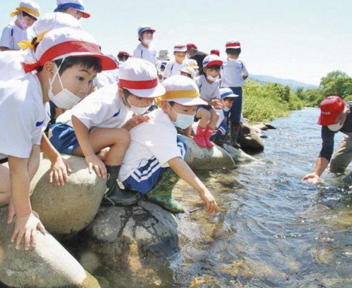 稚アユ、大きく育ってね　勝山で子どもら放流
