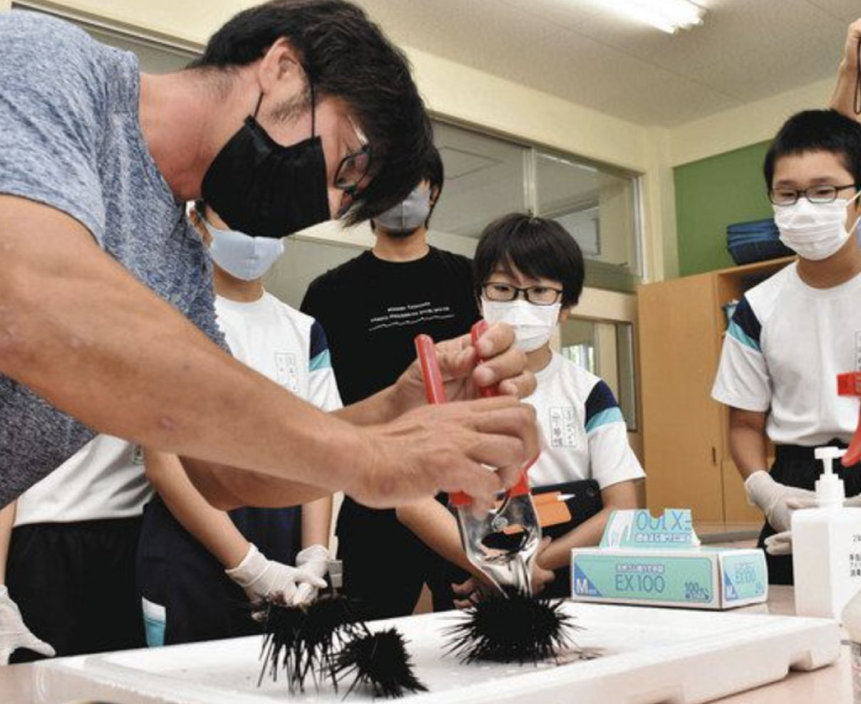 駆除ウニ どう料理？　高浜小児童 商品化目指し殻割り体験