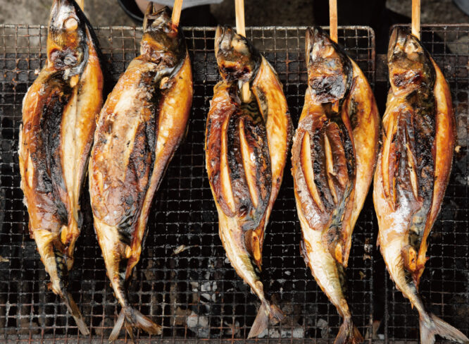 小浜市の『朽木屋』の浜焼き鯖を丸ごと一尾かぶりつき！ 夏に食べたいご当地グルメを買いに行こう。