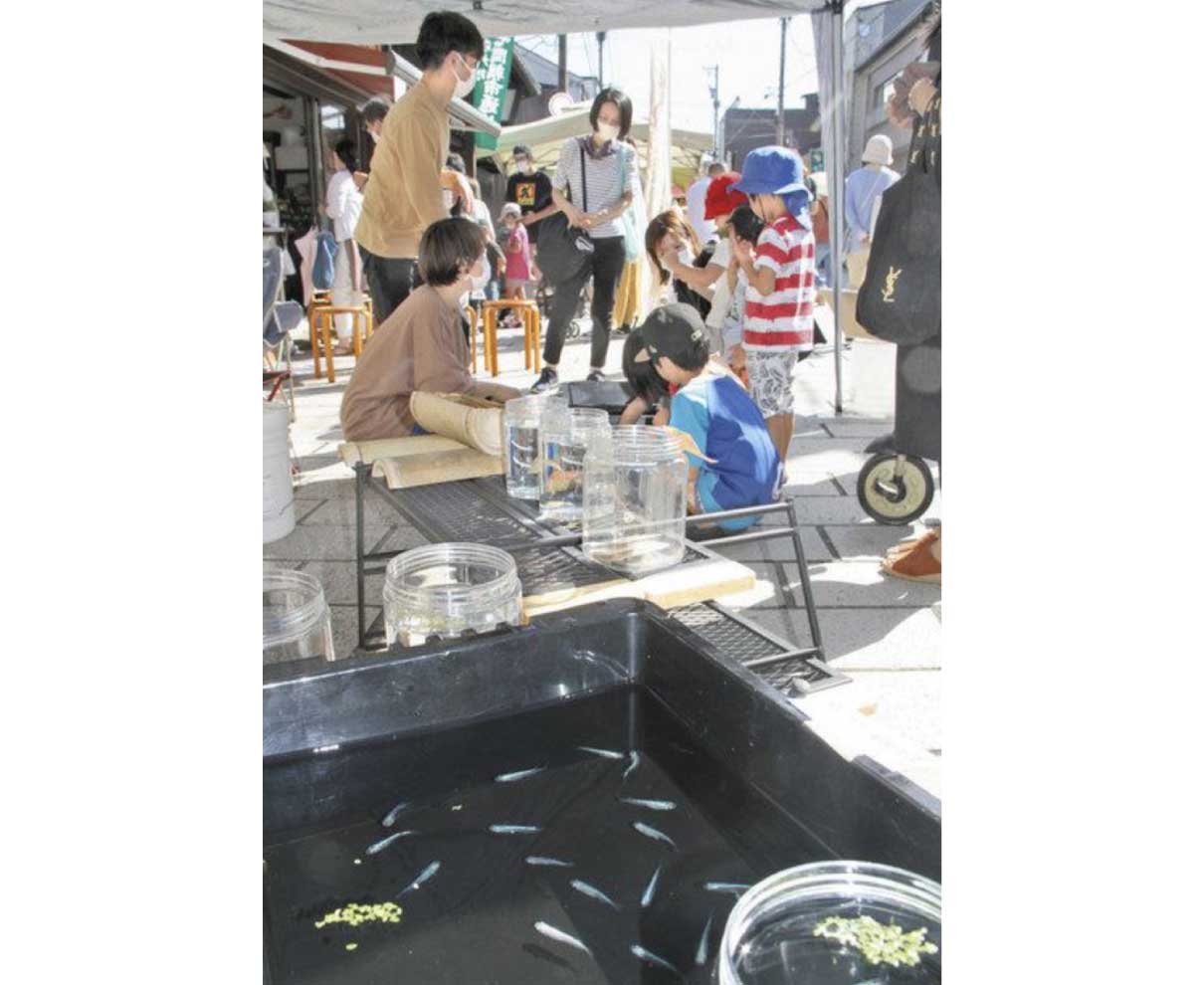 メダカすくい　雑貨販売盛況　大野七間通りで「楽市」