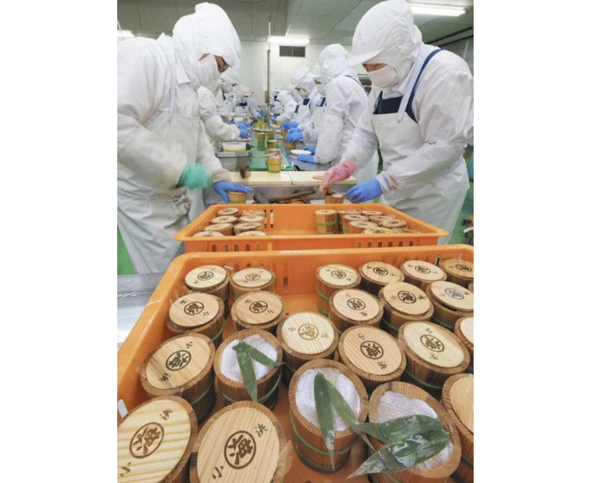小浜で小鯛ささ漬製造ピーク