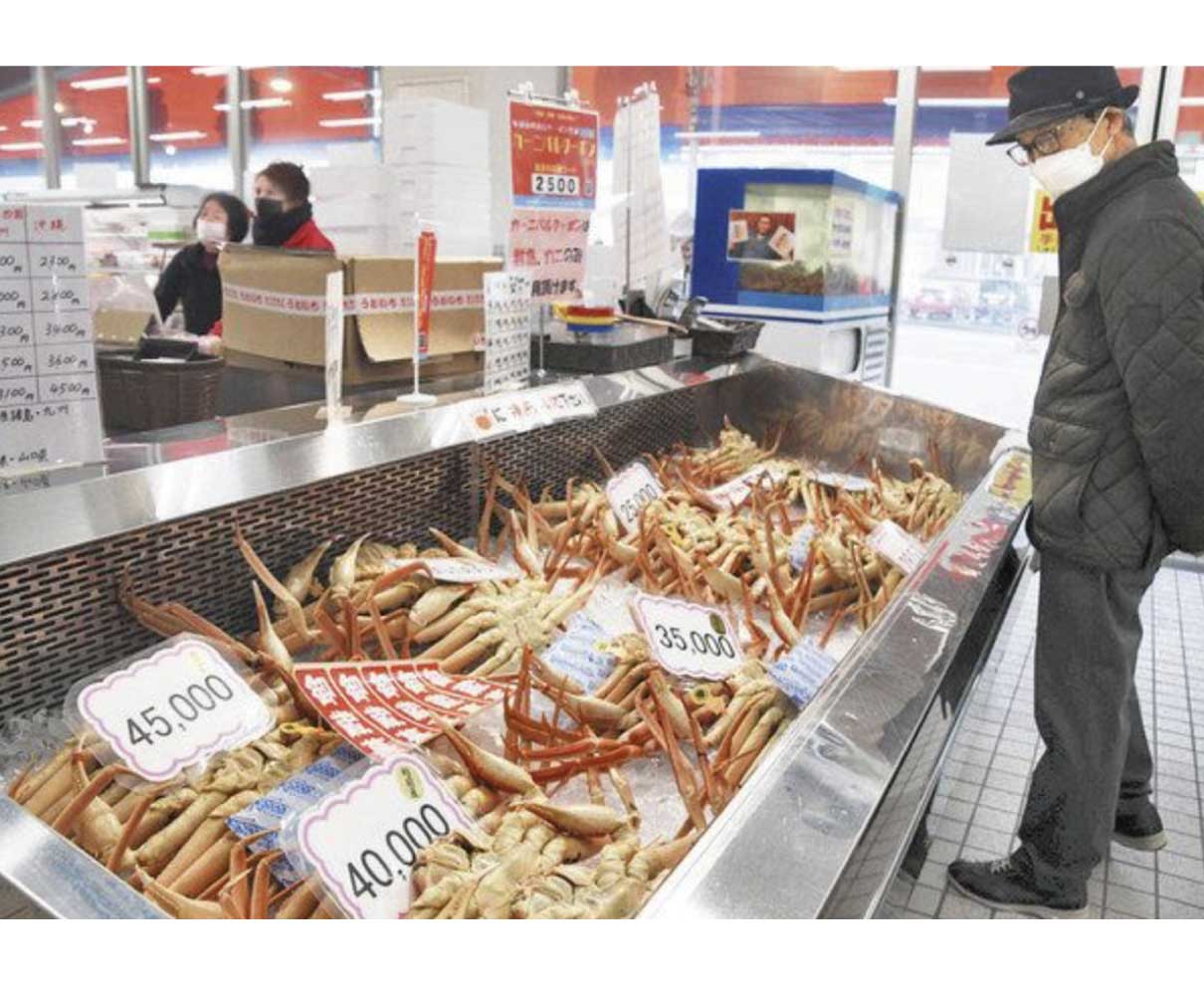 越前がに　高騰続く　ブランドを確立　しけで漁獲量減