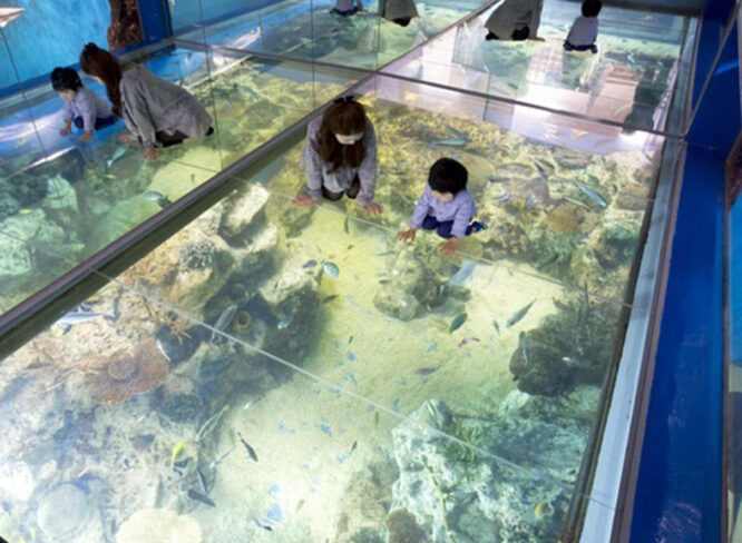 越前松島水族館へLet’s Go!! 福井の観光名所を巡ろう