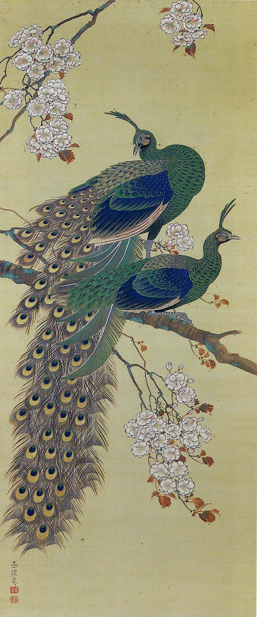 敦賀コレクション「花と鳥」