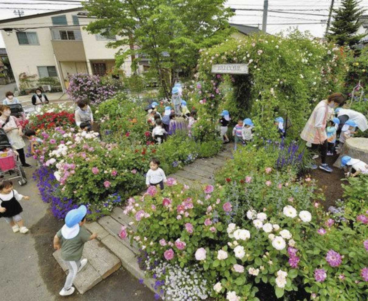 福井の福祉施設で見頃　バラ園に小さなお客さん