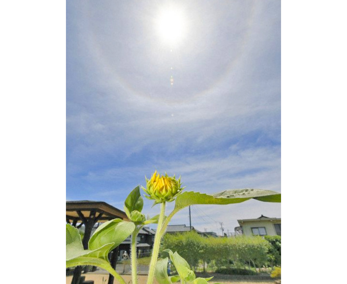 県内　初の６月梅雨明け　14日間　降水量平年の半分