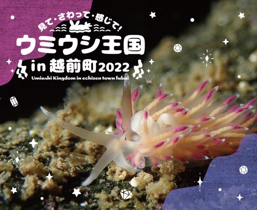 見て・さわって・感じて！ウミウシ王国 in ECHIZEN