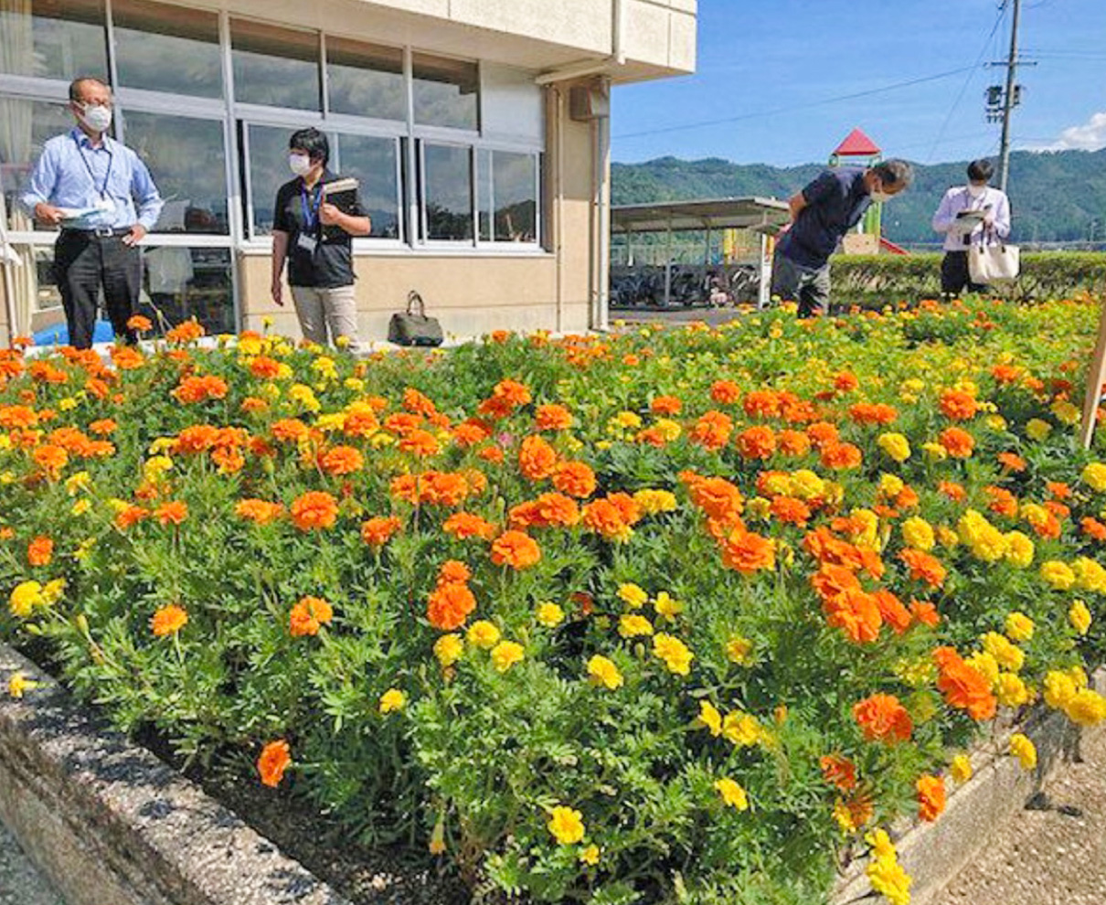 フラワー・ブラボー・コンクール　３年ぶり　県中央審査会始まる