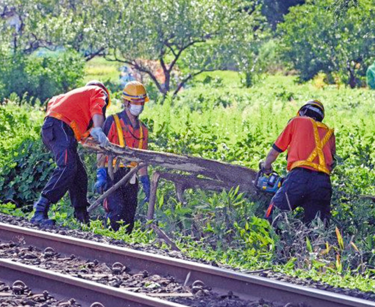 台風11号　県内でも被害　一時暴風警報　停電や鉄道運休