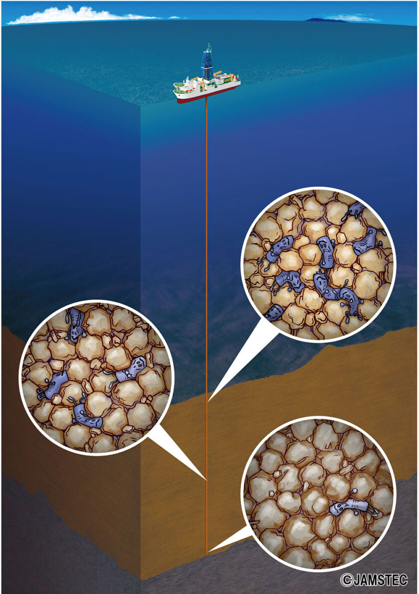 コミュラボ・コラボ【ワークショップ】 「生命がすむ果てはどこだ？海底より下で暮らす生き物」