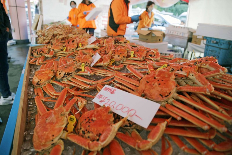 越前かにまつり・越前がに朝市2022