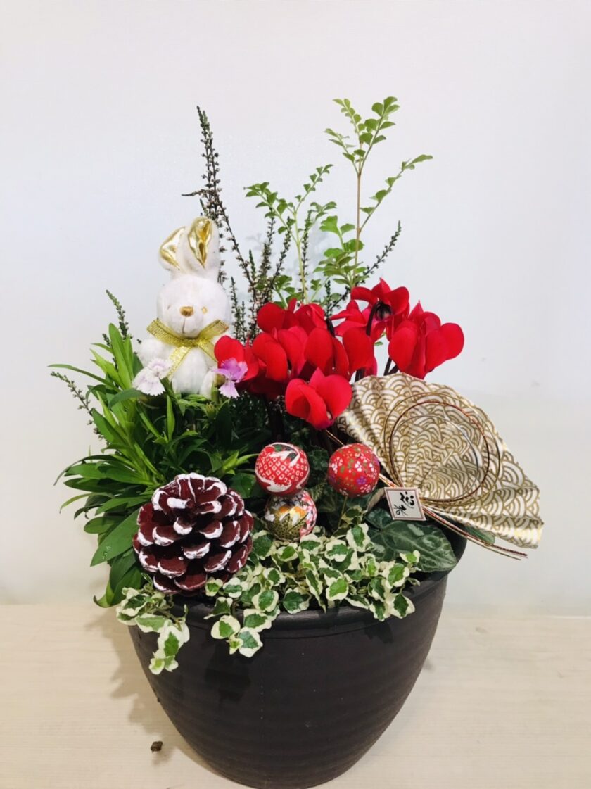 お父さんとつくろう！ 冬を楽しむ寄せ植え