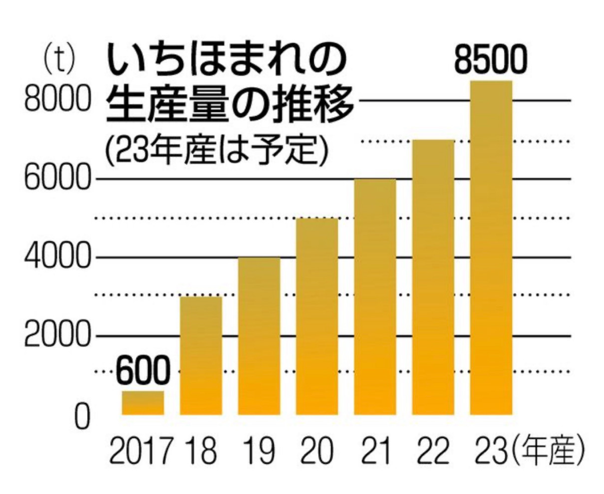 福井のブランド米・いちほまれ、23年産は8500トン目指す　前年比1500トン増