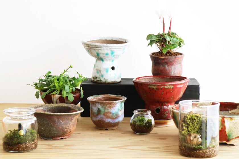 舘山窯　陶と山野草展