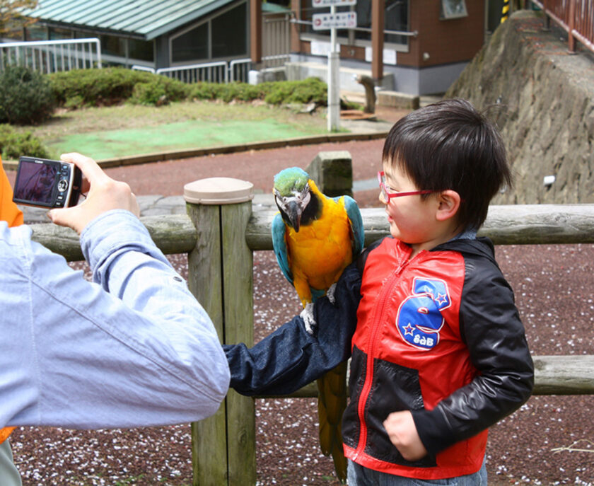 足羽山公園遊園地 「なかよしタイム」