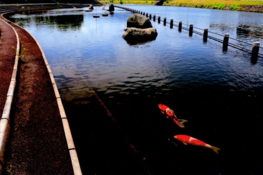 PHOTO CLUB「宙(そら)」展2023―自由 気ままに―