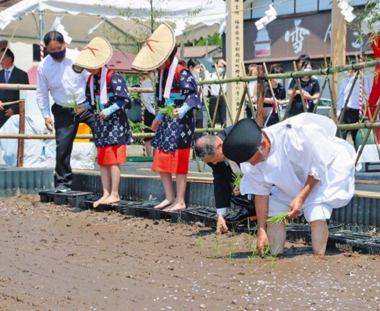 いちほまれ実り願い　お田植え式