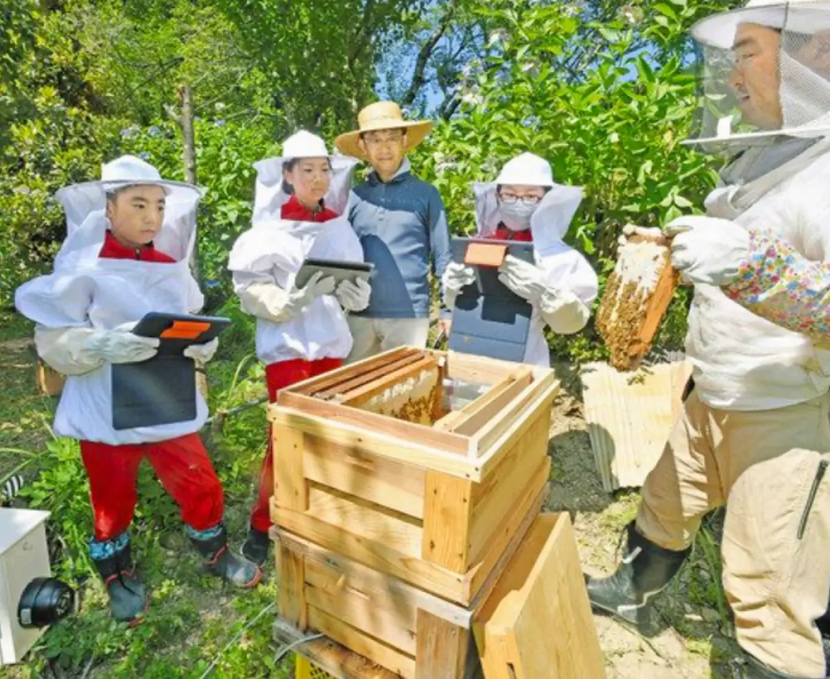 殿下小中（福井）の養蜂にIoT　巣箱　遠隔観察システム開発