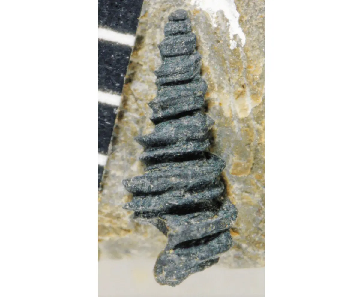 dc107bf43920c90b2666a96a6bc4fd