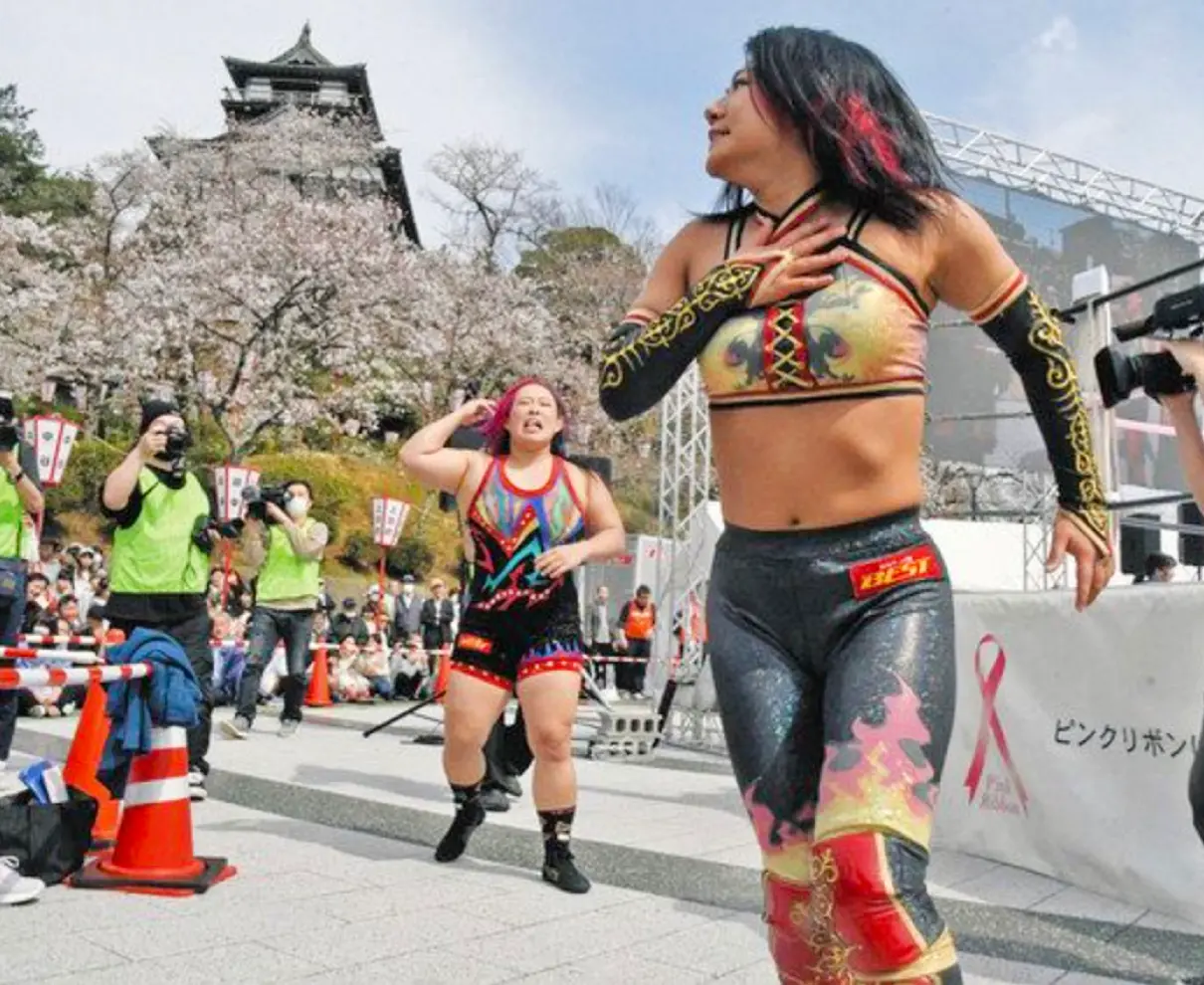 丸岡城プロレス、桜を背に白熱の闘い　坂井出身・橋本千選手勝利に観客ら興奮