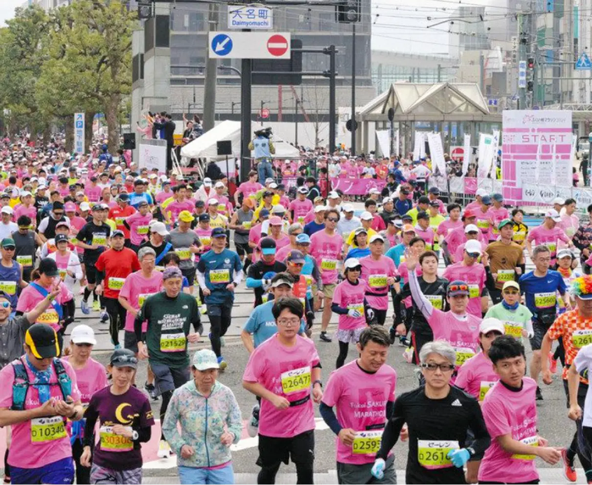 走者いっぱい、元気な街　「気持ちいい」「夢かなう」ふくい桜マラソン