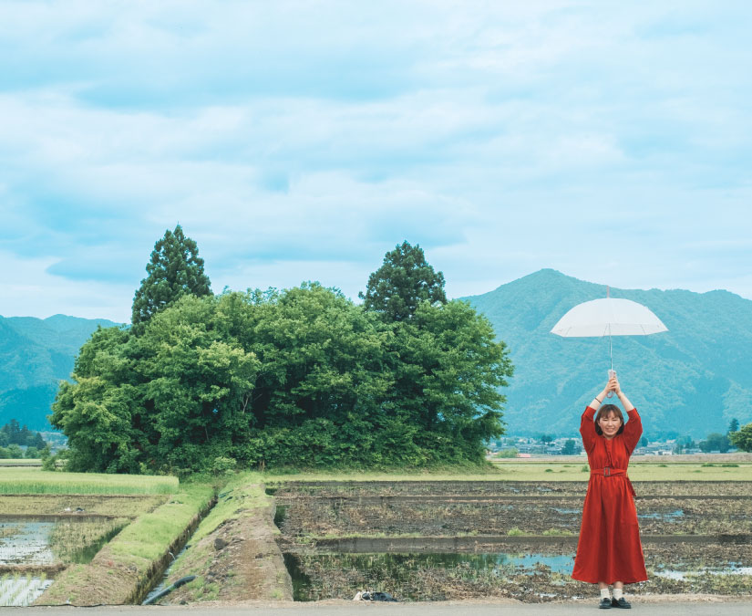 偶然できた林がSNSで人気のフォトスポットに！｜山伏岩（やまぶしいわ）