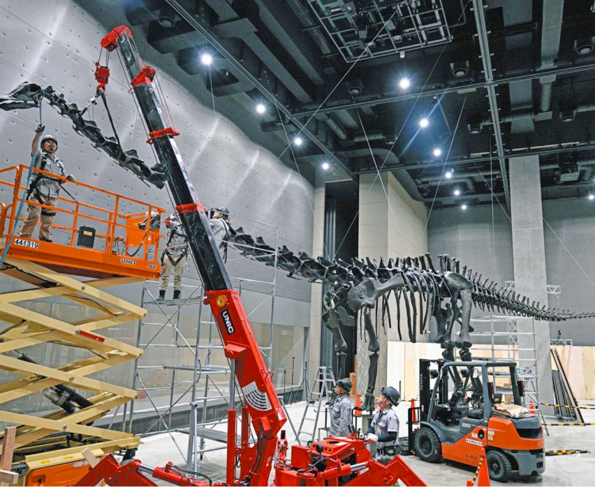 圧巻の全身骨格標本　目玉　恐竜博物館で特別展　来月開幕