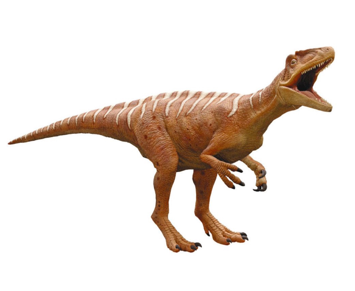 恐竜王国発信へデザイン使って　県、無料で事業者や県民に