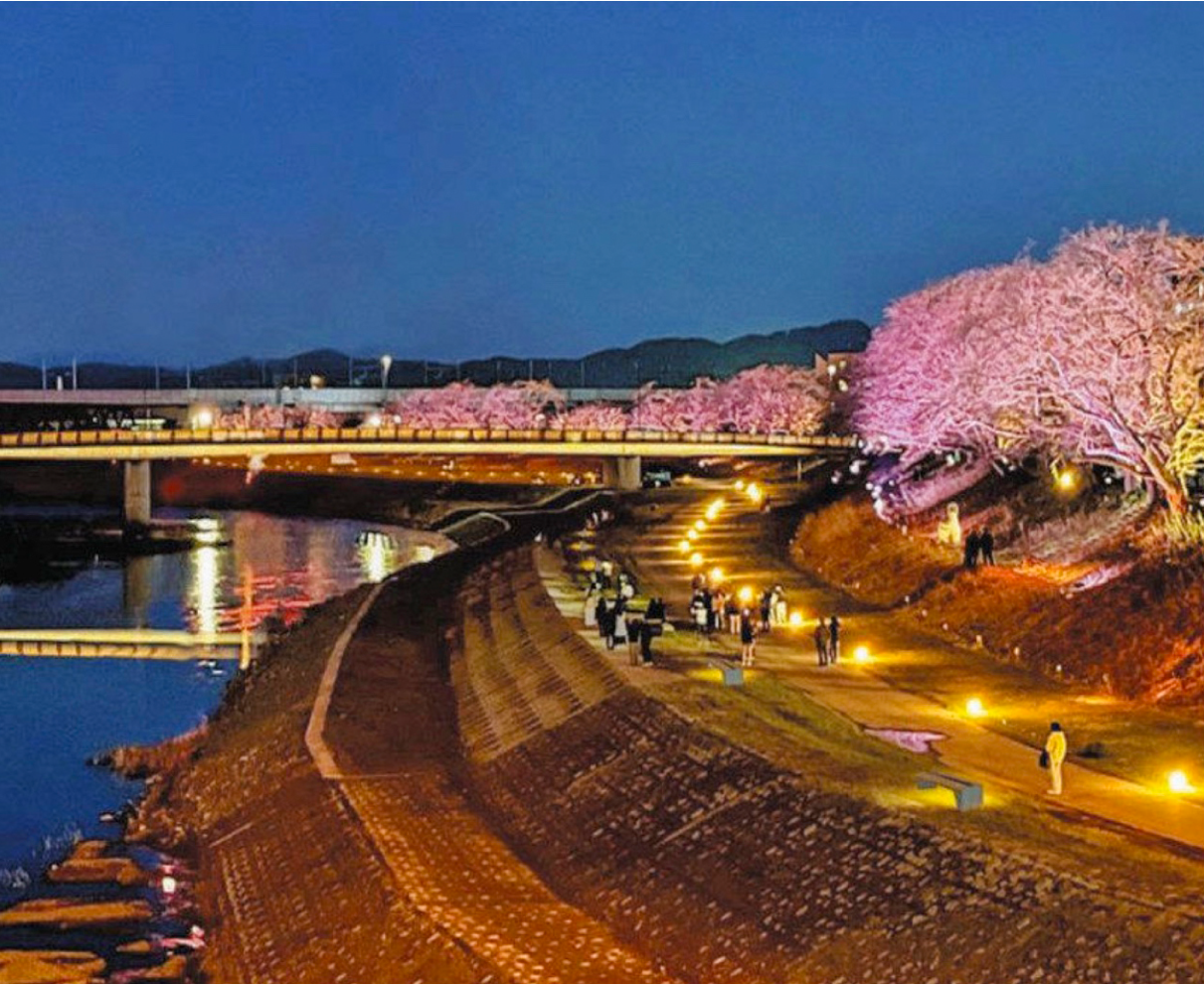 夜も楽しい足羽川へ　両岸と橋５本、回遊性高める