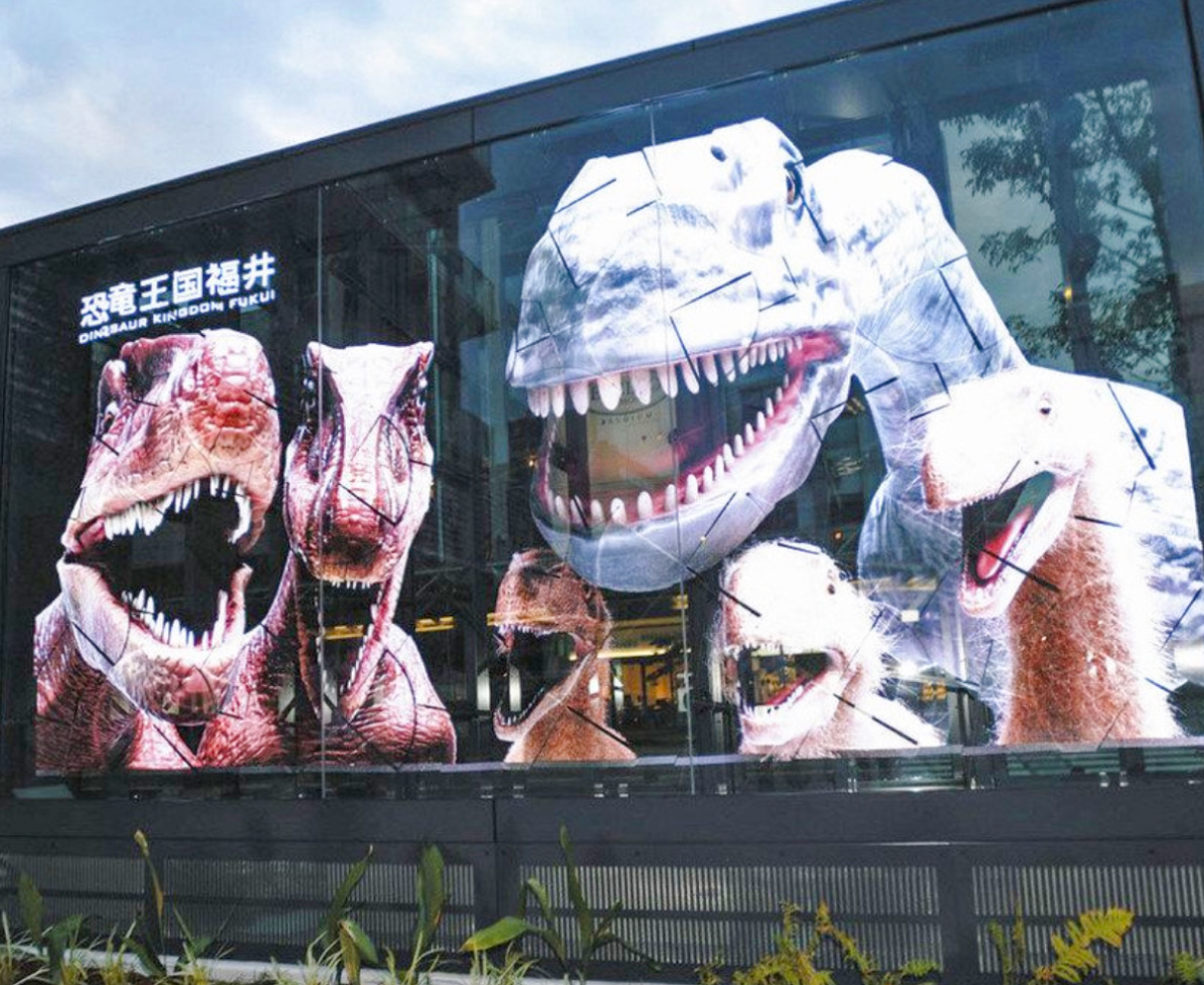 ３Ｄ恐竜　迫力の映像登場　福井駅西口　県内で化石発見３種