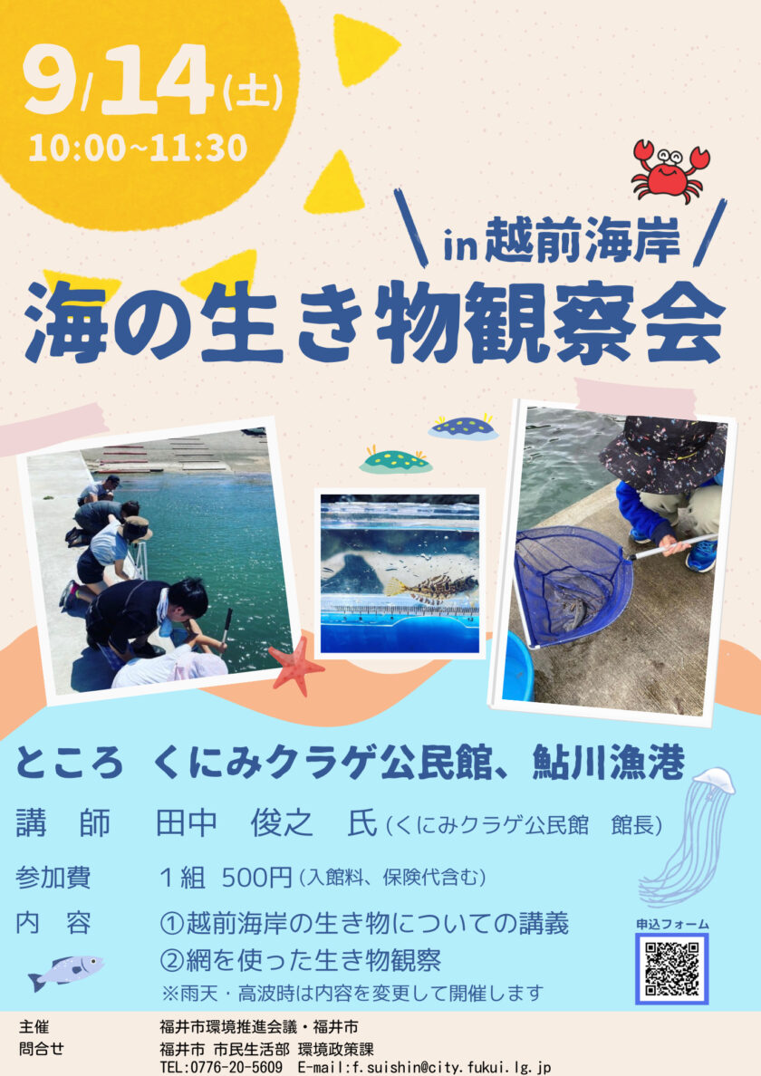 自然観察会「海の生き物観察会in越前海岸」