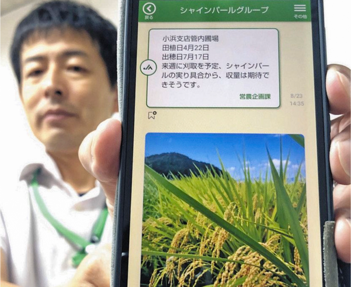 ＪＡ福井県がＪＡコネクト導入　営農情報の共有、アプリで簡単に