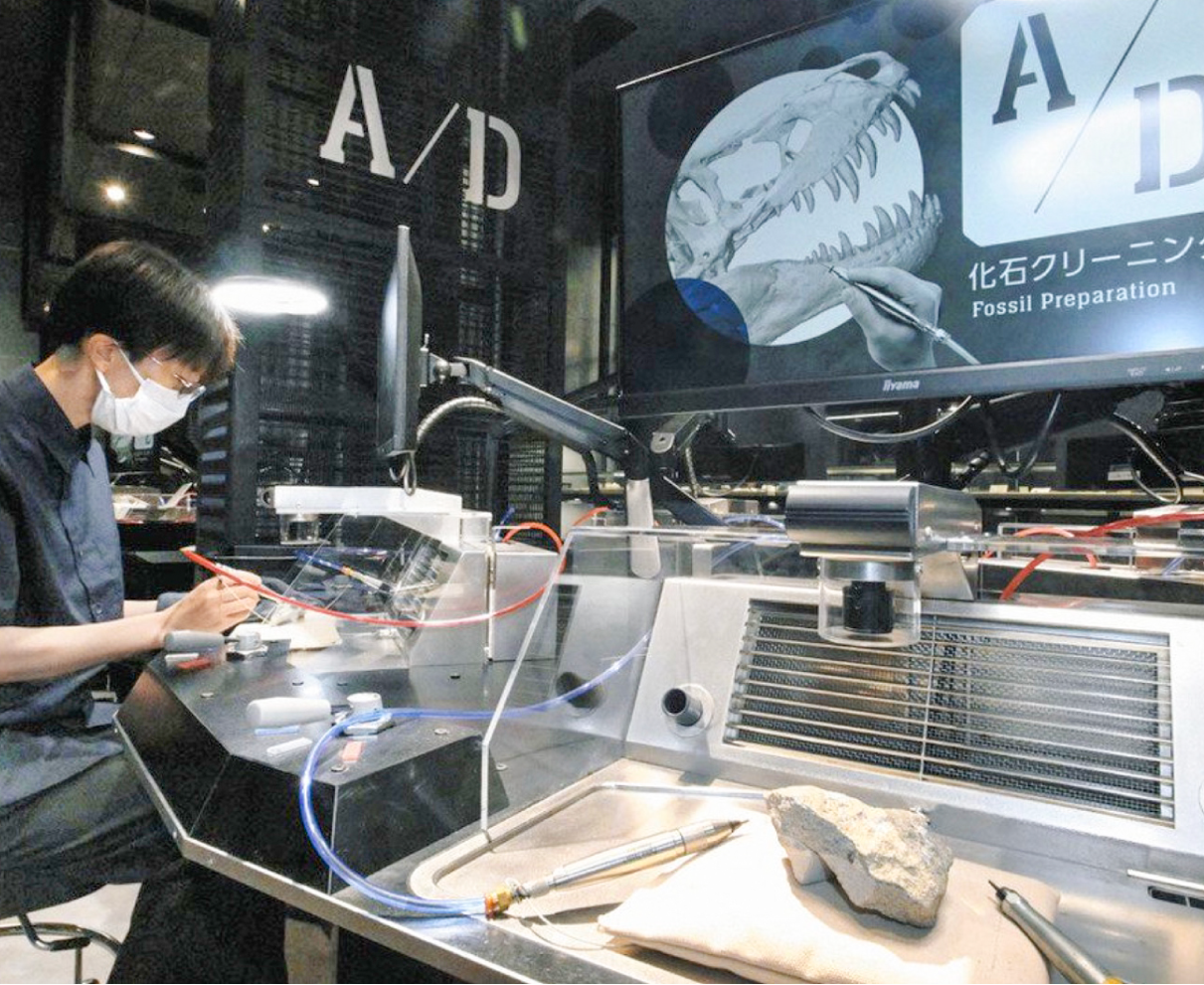 キッズデザイン賞　化石研究体験（恐竜博物館）優秀賞　「本物に触れる」評価