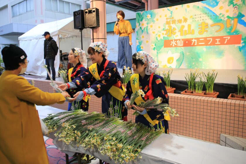 第50回水仙まつり