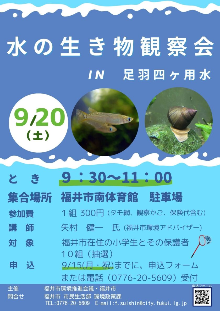 水の生き物観察会 in 足羽四ヶ用水